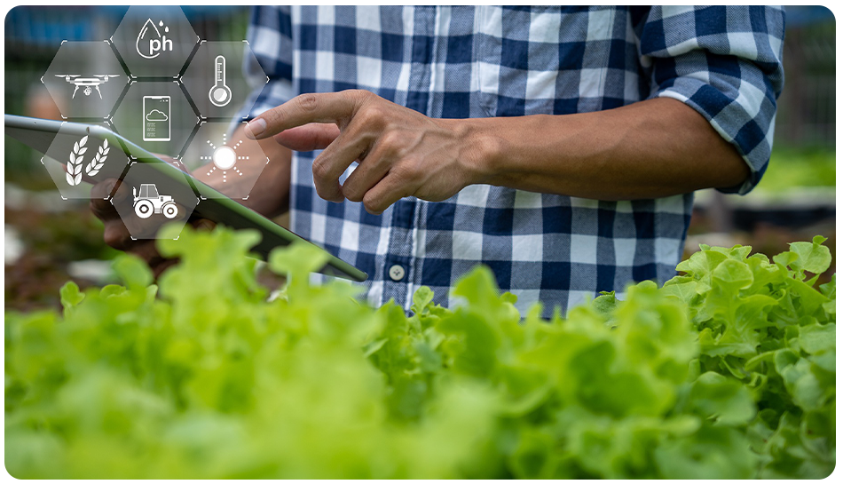 agriculture_sector