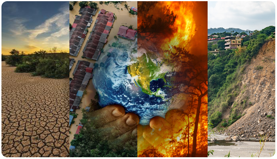 disaster_management_sector