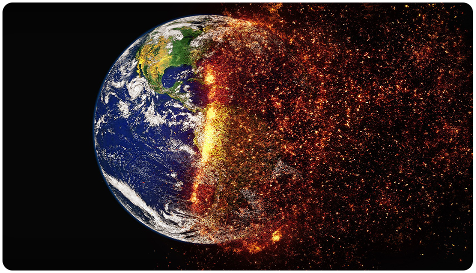 disaster_management_sector